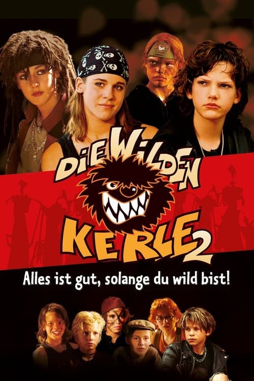 Die wilden Kerle 2