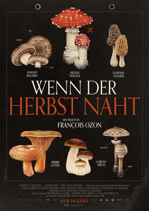 Wenn der Herbst naht